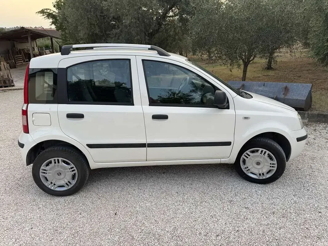 Usata Fiat Panda Active 77 CV (56 kW) 2012 Bianco Utilitaria