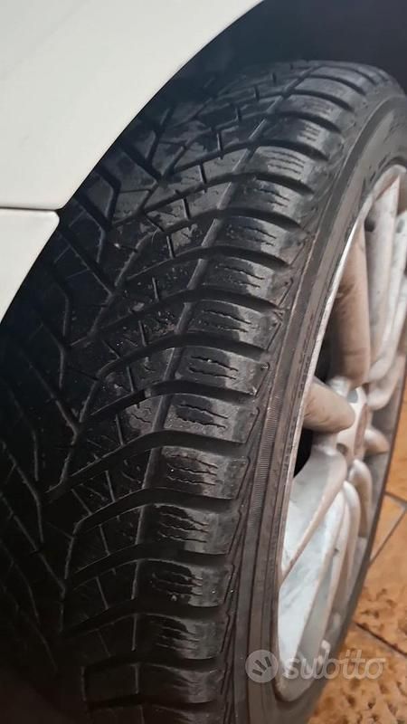 Usata Fiat Punto Evo 75 CV (55 kW) 2012 Bianco Utilitaria