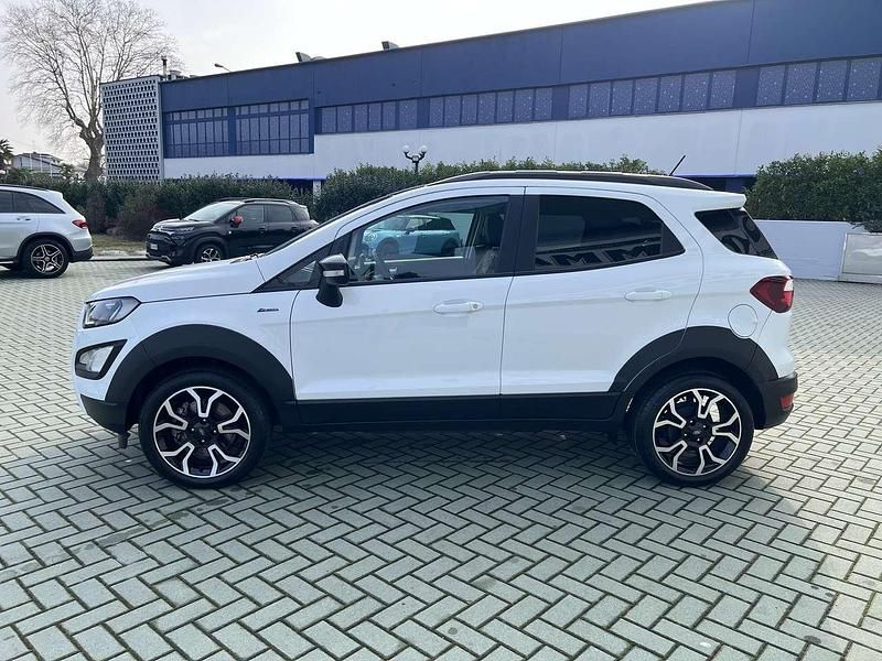 Usata Ford Ecosport Active 125 CV (91 kW) 2023 Bianco SUV