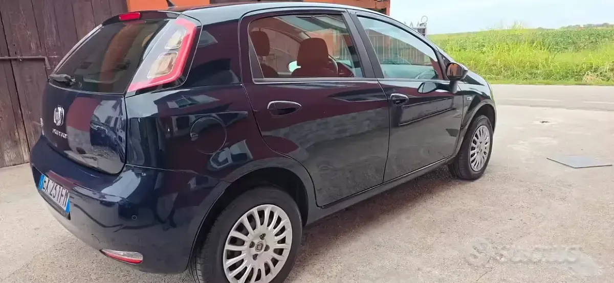 Usata Fiat Punto Lounge 77 CV (56 kW) 2014 Nero Utilitaria