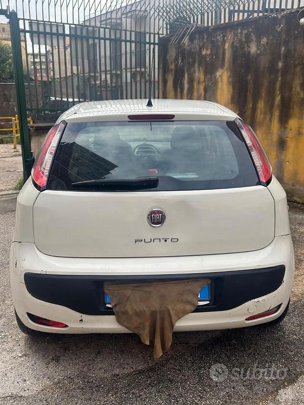 Usata Fiat Punto Evo 77 CV (56 kW) 2012 Bianco Utilitaria