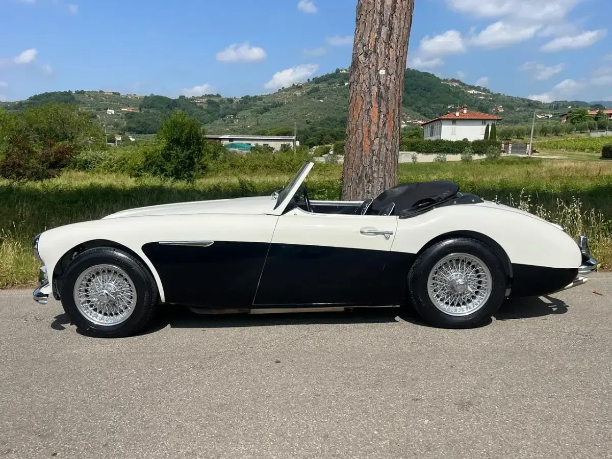 Usata Austin Healey 100/6 1957 Bianco Cabrio