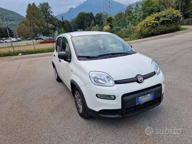 Usata Fiat Panda 70 CV (51 kW) 2024 Bianco Utilitaria