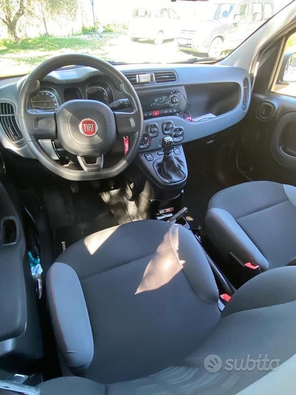 Usata Fiat Panda 4x4 2020 Bianco Utilitaria