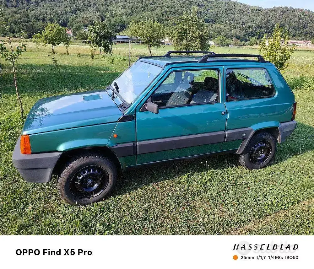 Usata Fiat Panda 4x4 54 CV (39 kW) 2003 Verde Utilitaria