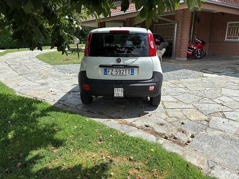 Usata Fiat Panda Pop 69 CV (50 kW) 2019 Bianco Utilitaria