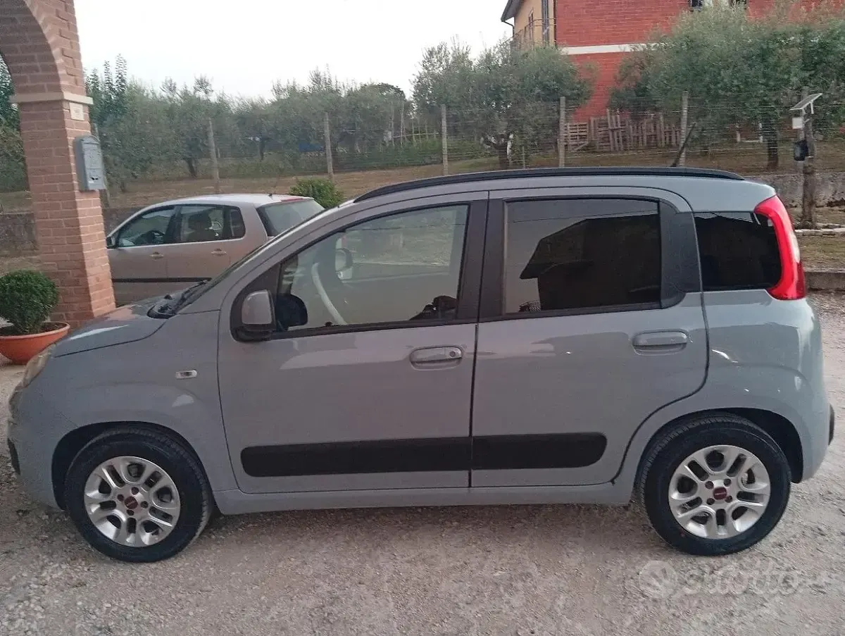 Usata Fiat Panda 69 CV (50 kW) 2019 Grigio Utilitaria