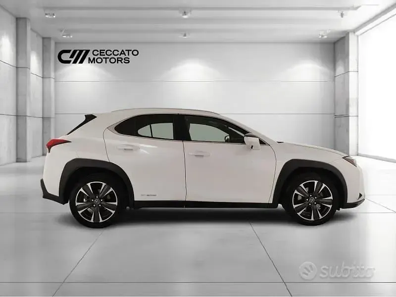 Usata Lexus UX 250h Luxury Line 2019 Bianco SUV