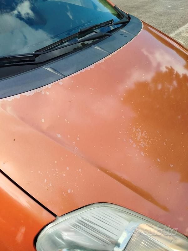 Usata Fiat Punto 80 CV (58 kW) 2005 Utilitaria