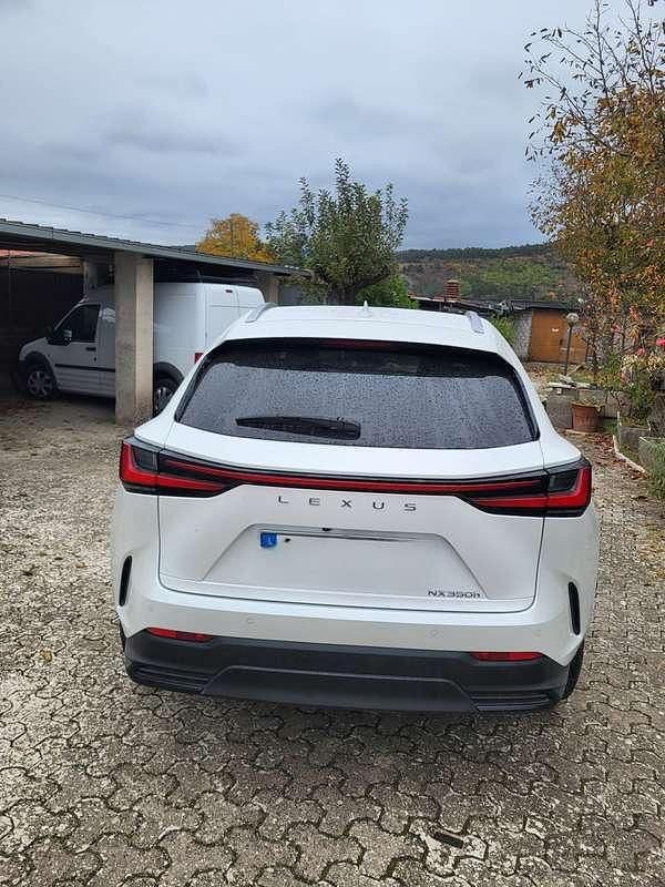 Usata Lexus NX200t 190 CV (139 kW) 2023 Bianco SUV