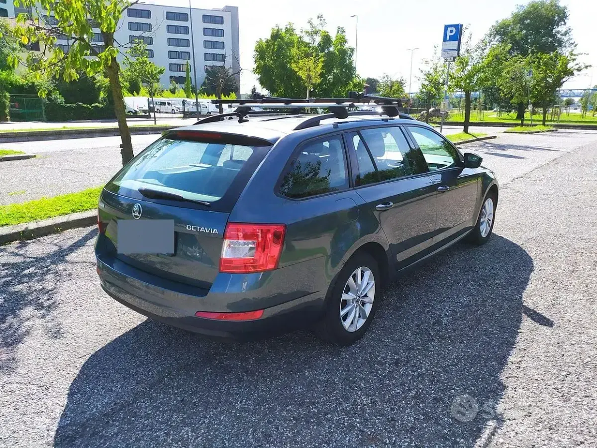 Usata Skoda Octavia Executive 110 CV (80 kW) 2015 Grigio Station wagon
