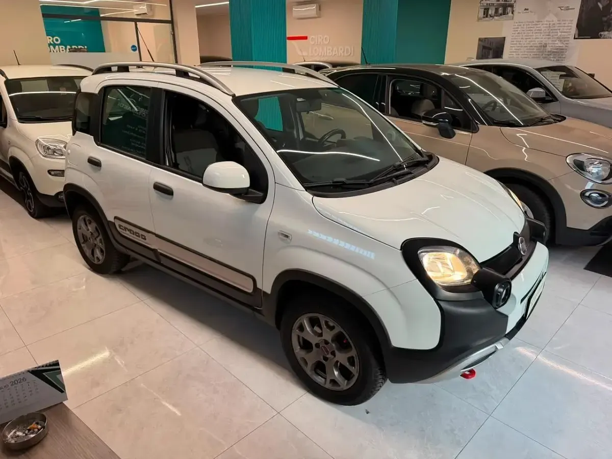 Usata Fiat Panda Cross Cross 90 CV (66 kW) 2015 Bianco Utilitaria