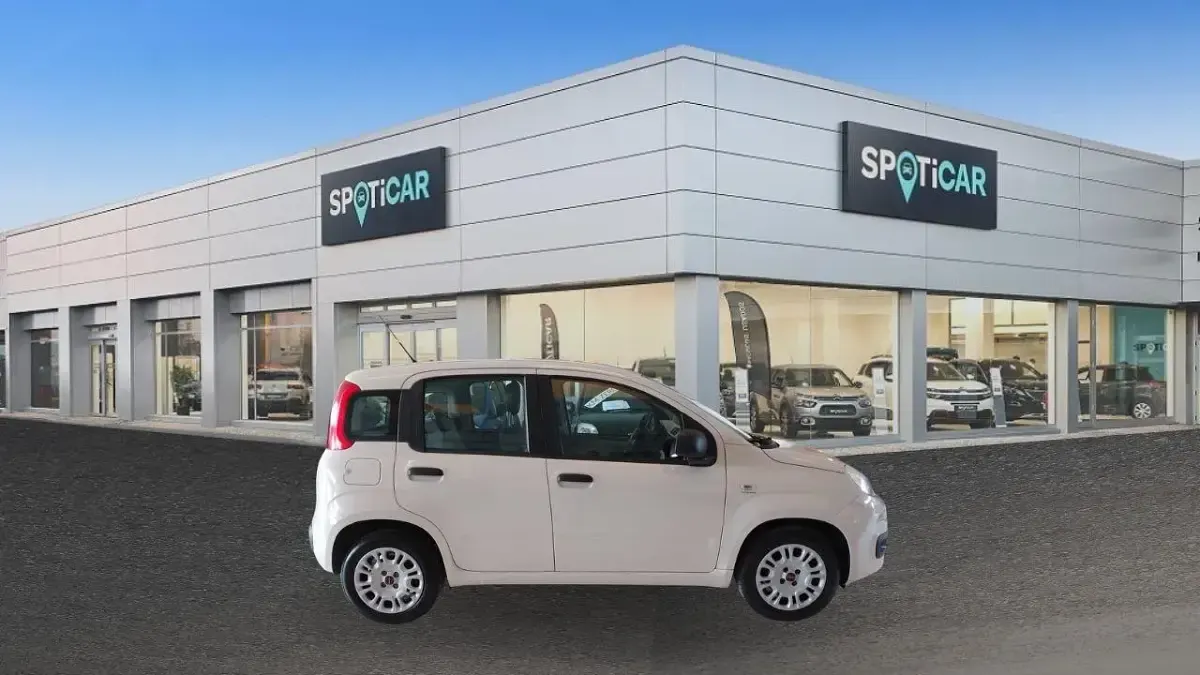 Usata Fiat Panda Easy 69 CV (50 kW) 2016 Beige Utilitaria