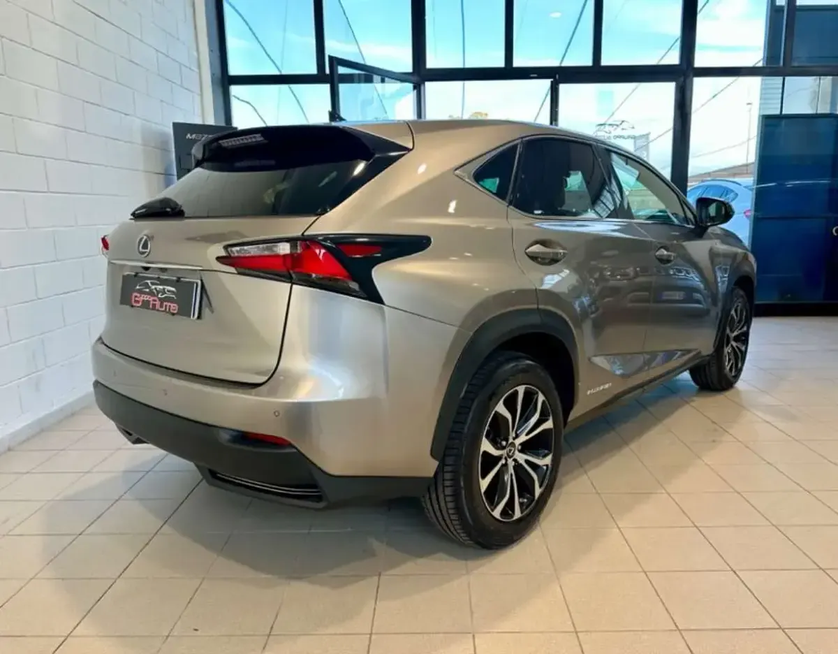 Usata Lexus NX300h Sport Line 155 CV (114 kW) 2015 Grigio SUV