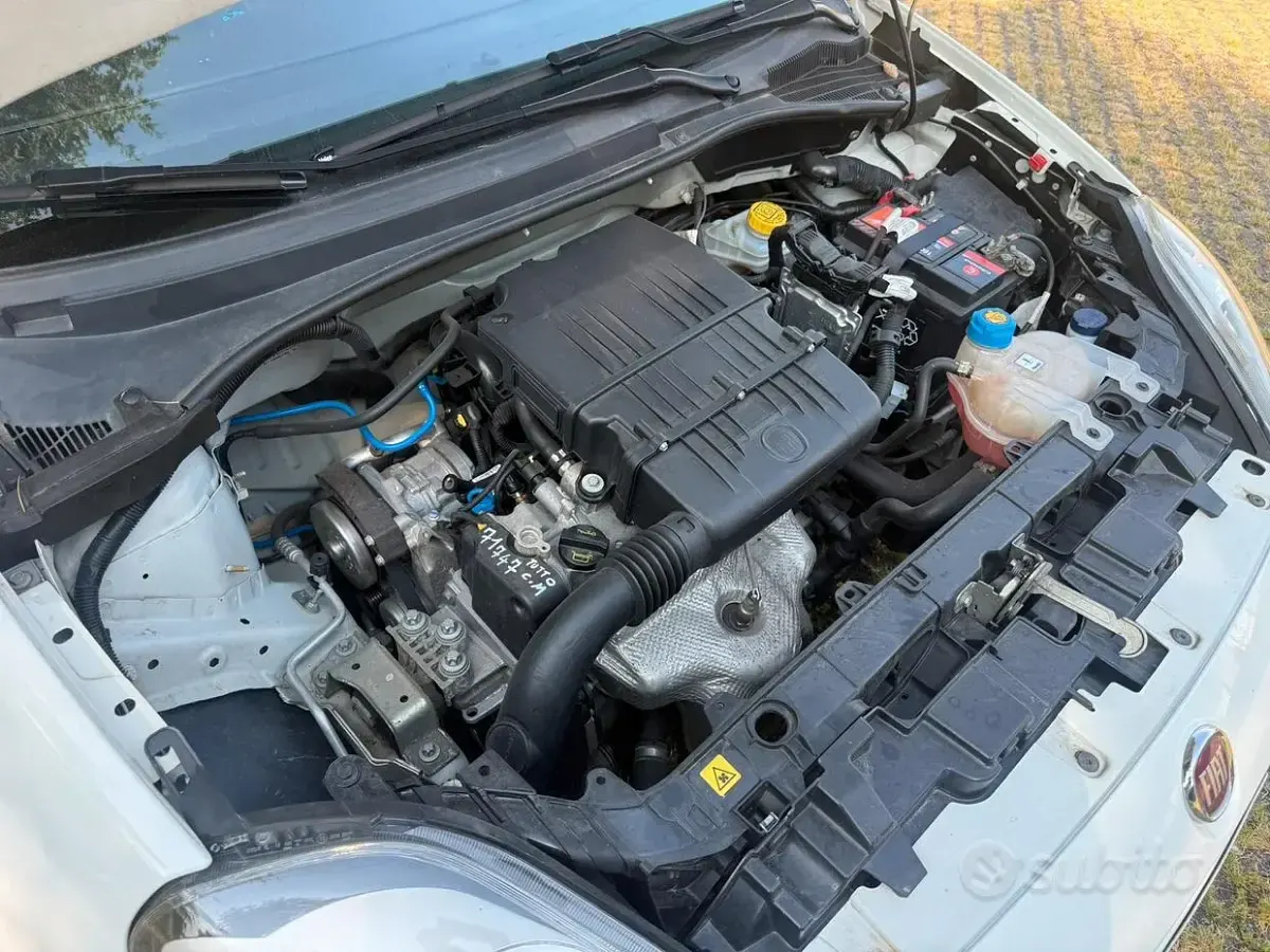 Usata Fiat Punto 69 CV (50 kW) 2016 Bianco Utilitaria