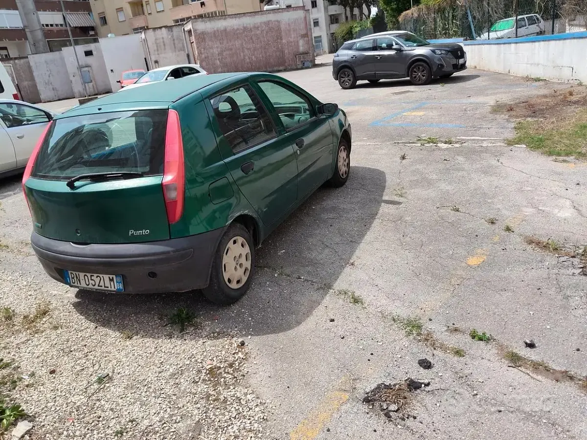 Usata Fiat Punto 60 CV (44 kW) 2002 Verde Utilitaria