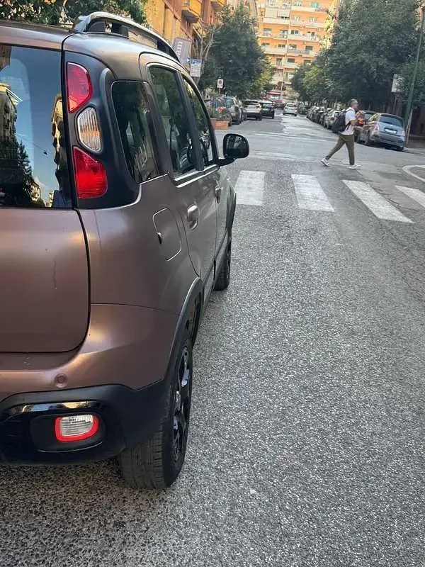 Usata Fiat Panda 4x4 S 86 CV (63 kW) 2020 Marrone Utilitaria