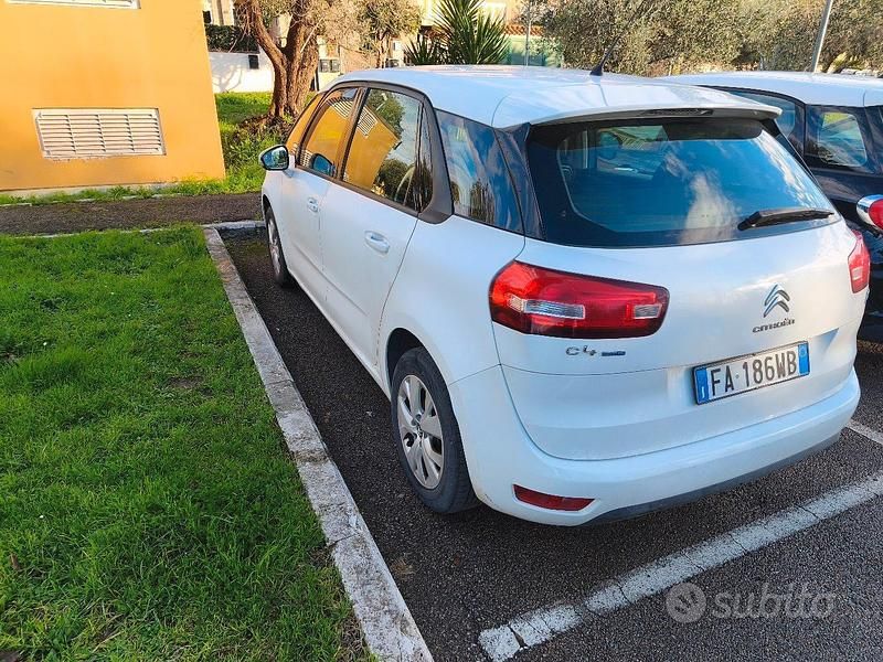 Usata Citroën C4 Picasso Business Class 100 CV (73 kW) 2015 Bianco Monovolume