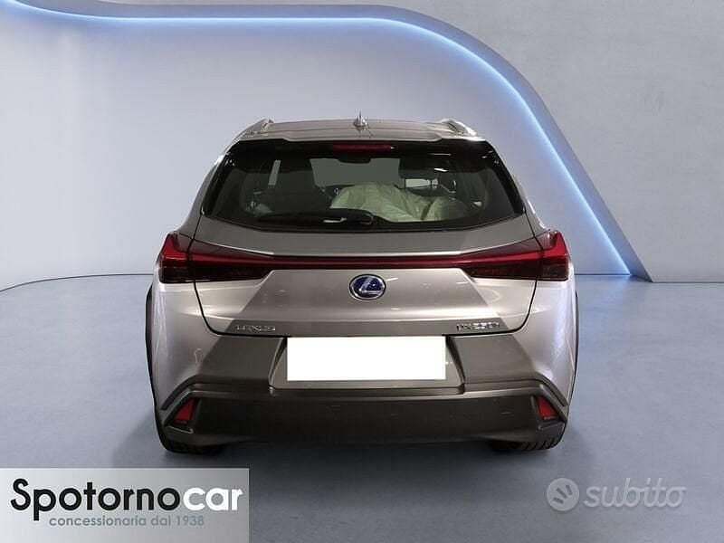 Usata Lexus UX Business Edition 183 CV (134 kW) 2019 Grigio SUV