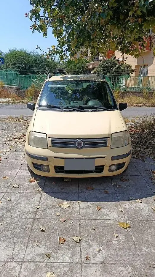 Usata Fiat Panda 60 CV (44 kW) 2009 Giallo Utilitaria