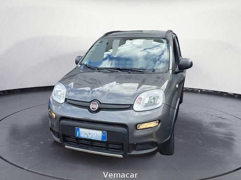 Usata Fiat Panda 4x4 86 CV (63 kW) 2020 Grigio Utilitaria