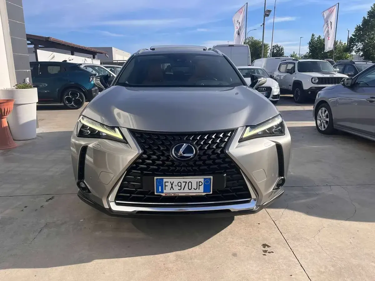 Usata Lexus UX Luxury Line 184 CV (135 kW) 2019 Argento SUV