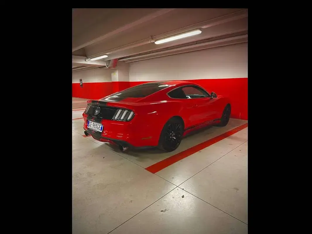 Usata Ford Mustang Fastback 317 CV (233 kW) 2016 Rosso Coupé