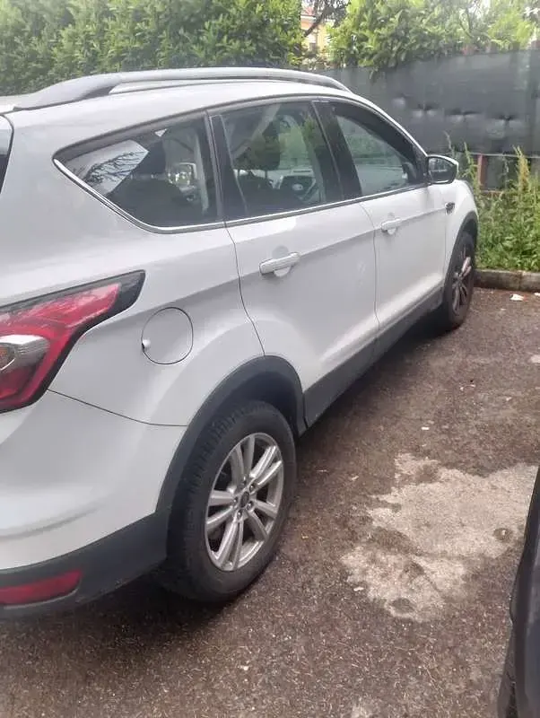 Usata Ford Kuga Titanium S 120 CV (88 kW) 2017 Bianco SUV