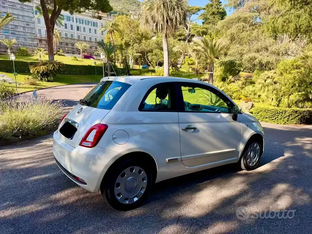 Usata Fiat 500 69 CV (50 kW) 2019 Bianco Utilitaria