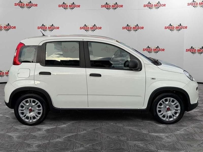 Usata Fiat Panda 70 CV (51 kW) 2024 Bianco Berlina