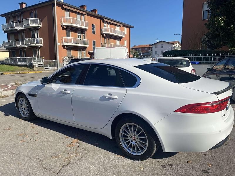 Usata Jaguar XF Business Edition 163 CV (119 kW) 2016 Bianco Berlina