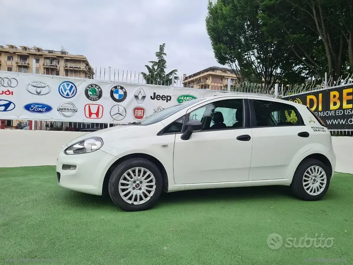 Usata Fiat Punto Evo 75 CV (55 kW) 2013 Bianco Utilitaria