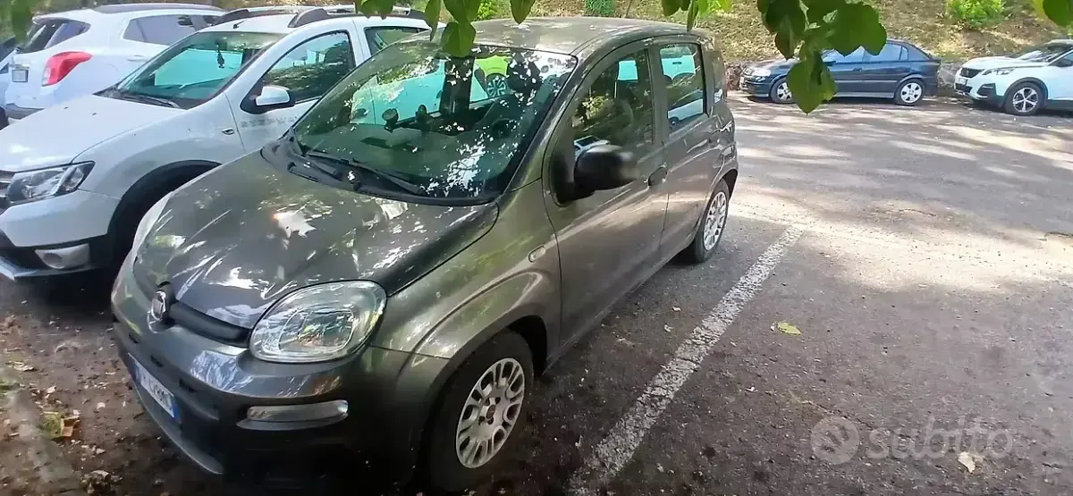 Usata Fiat Panda 69 CV (50 kW) 2018 Utilitaria