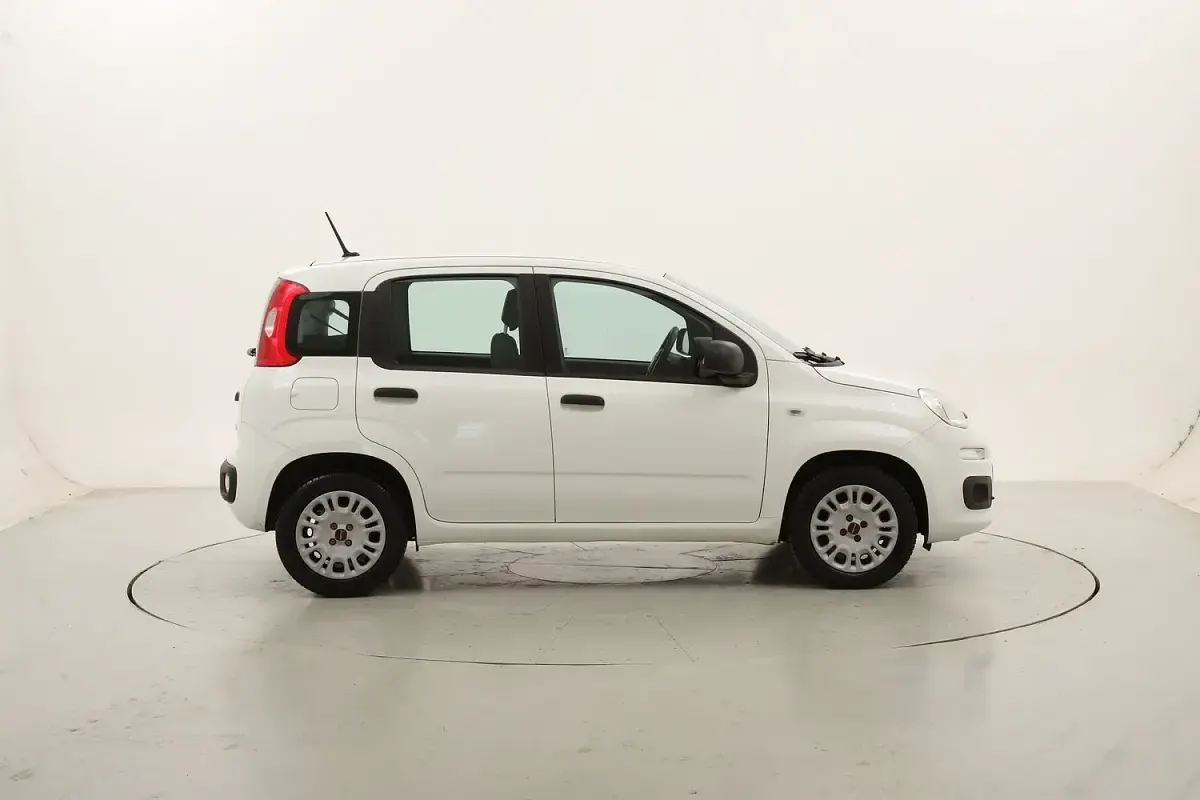Usata Fiat Panda Easy 69 CV (50 kW) 2020 Utilitaria