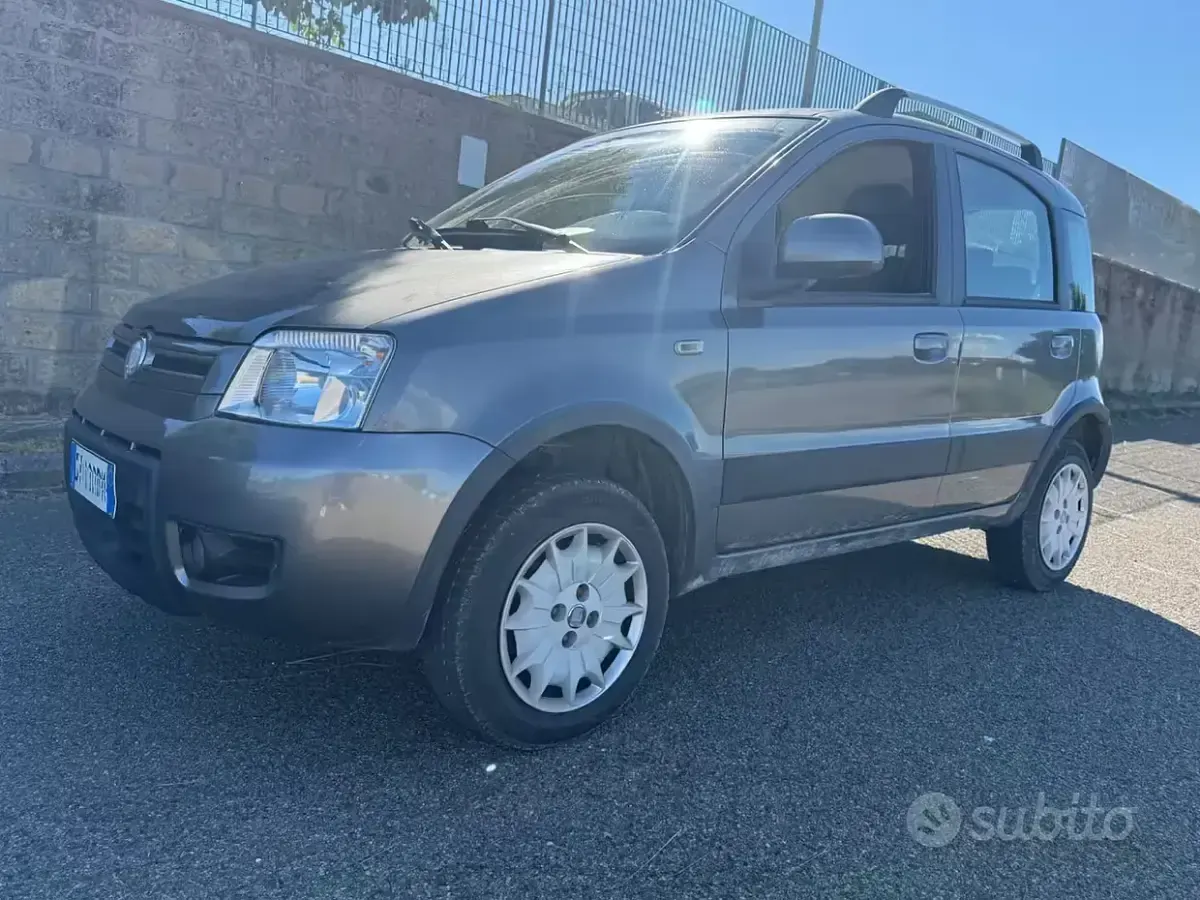 Usata Fiat Panda 4x4 60 CV (44 kW) 2009 Grigio Utilitaria
