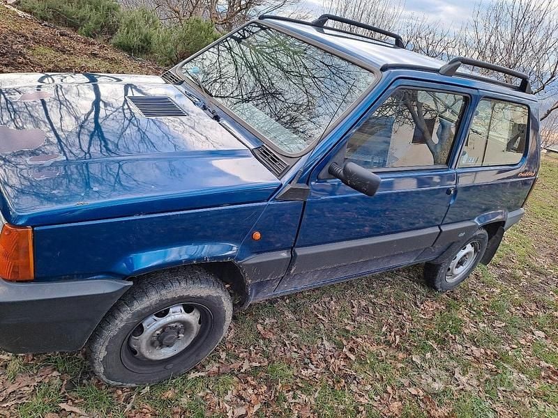 Usata Fiat Panda 4x4 Trekking 45 CV (33 kW) 2004 Blu Utilitaria