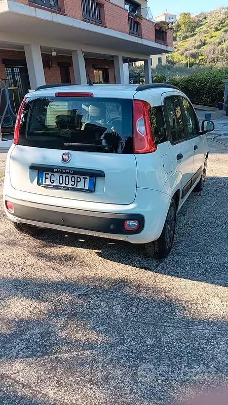 Usata Fiat Panda 95 CV (69 kW) 2016 Bianco Utilitaria
