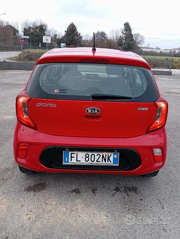 Używany Kia Picanto 67 KM (49 kW) 2017 Czerwony Hatchback