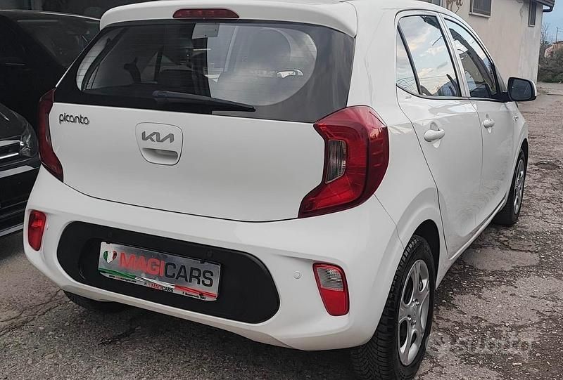 Usata Kia Picanto 67 CV (49 kW) 2021 Bianco Utilitaria