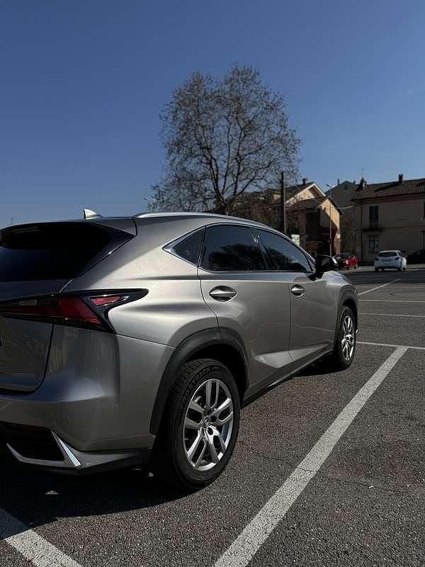 Usata Lexus NX300h Sport Line 155 CV (114 kW) 2018 SUV