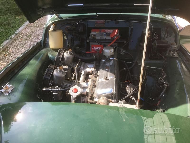 Usata Triumph TR3 1950 Verde Cabrio