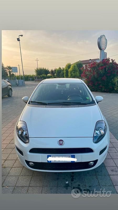 Usata Fiat Punto 69 CV (50 kW) 2016 Bianco Utilitaria