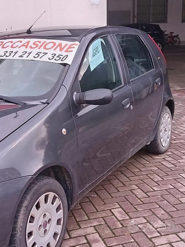 Usata Fiat Punto Active 60 CV (44 kW) 2010 Grigio Utilitaria