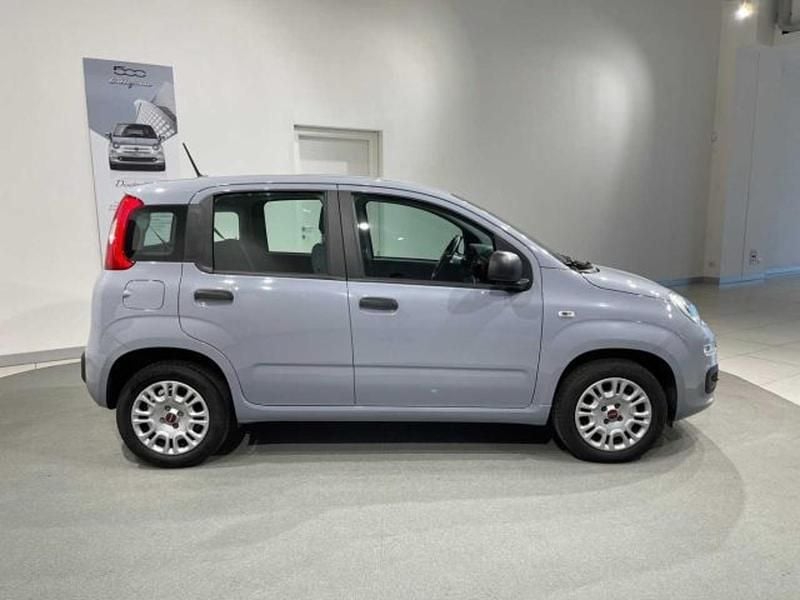 Occasion Fiat Panda Easy 69 ch (50 kW) 2020 Gris Citadine