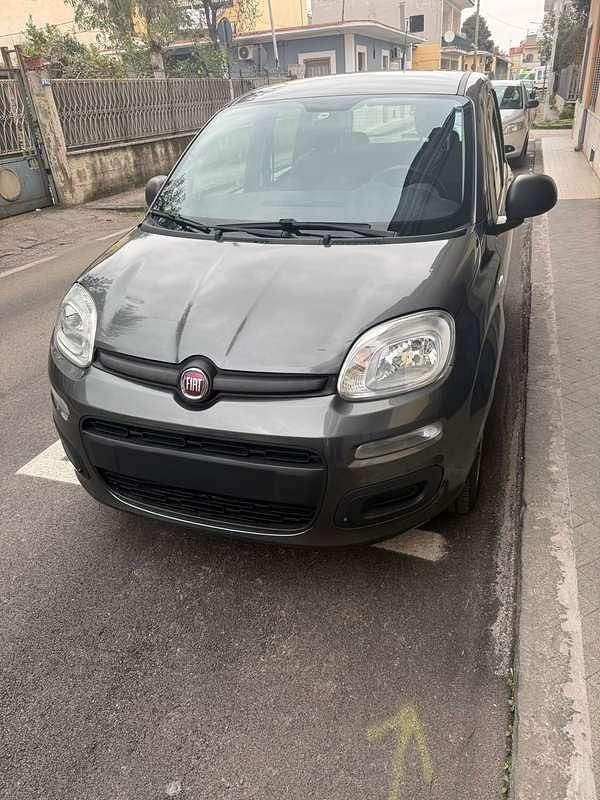 Usata Fiat Panda Easy 69 CV (50 kW) 2019 Grigio Utilitaria
