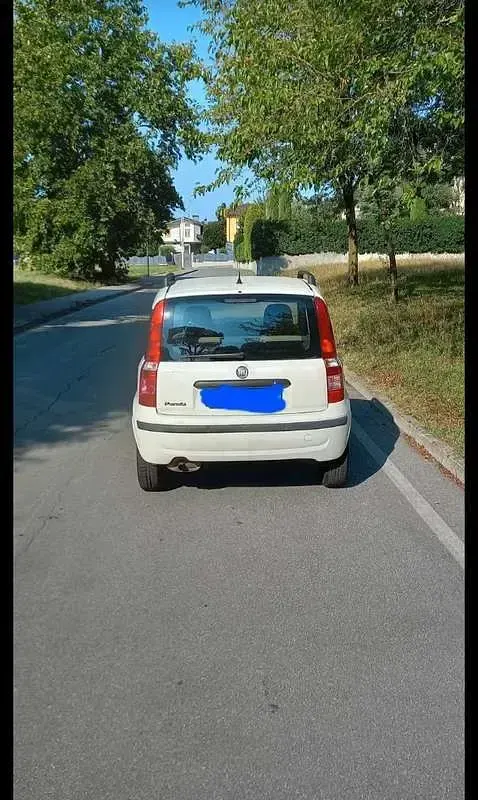 Usata Fiat Panda Dynamic 60 CV (44 kW) 2009 Utilitaria