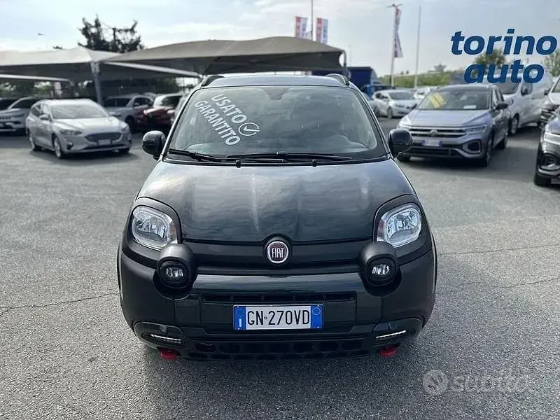 Usata Fiat Panda Cross Cross 70 CV (51 kW) 2023 Verde Utilitaria