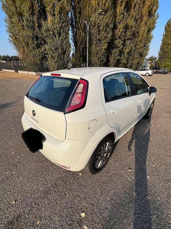 Usata Fiat Punto Evo Active 65 CV (47 kW) 2013 Utilitaria
