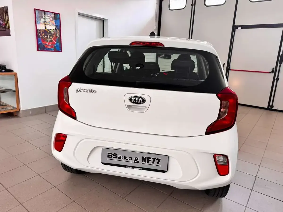 Usata Kia Picanto Urban 67 CV (49 kW) 2021 Bianco Utilitaria