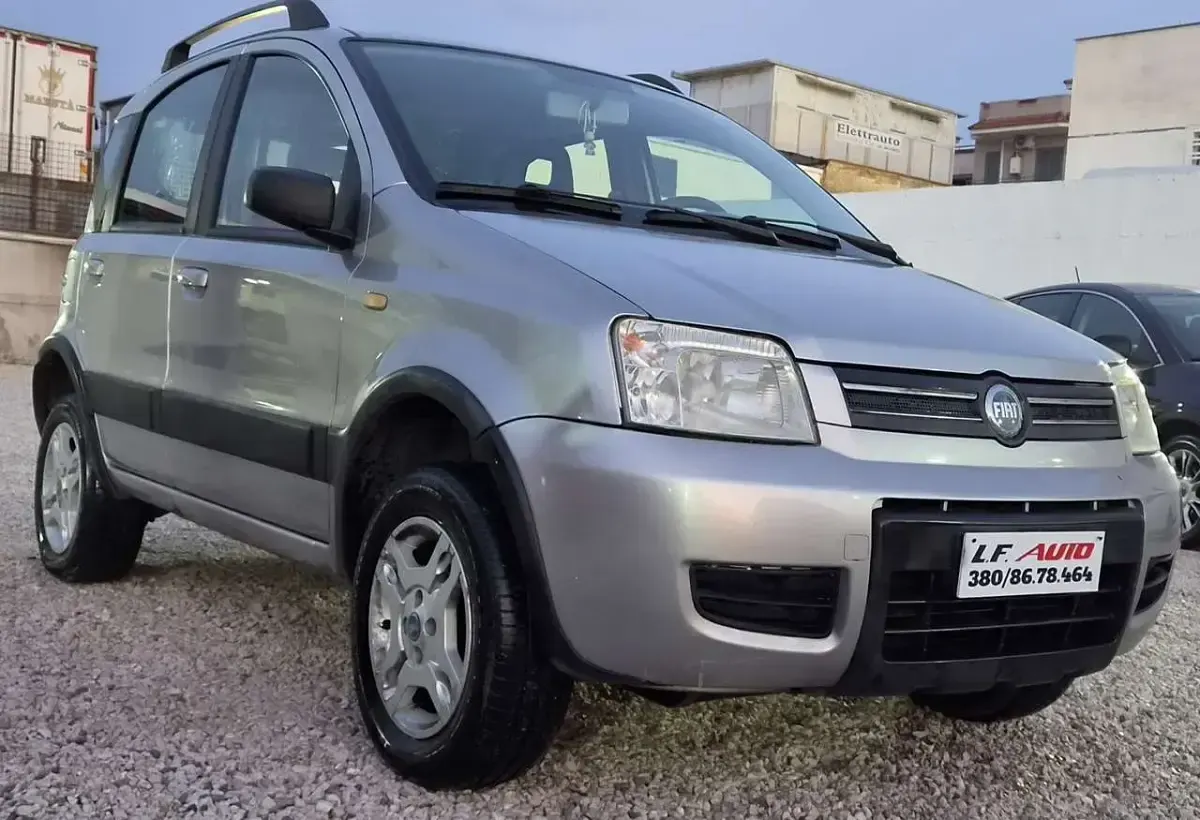 Usata Fiat Panda 4x4 Emotion 69 CV (50 kW) 2006 Argento Utilitaria